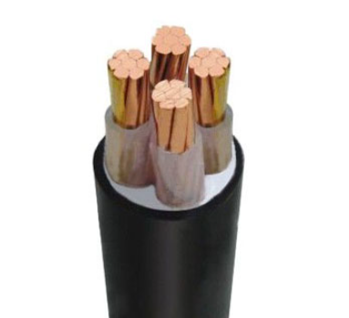 product_6975da791595d