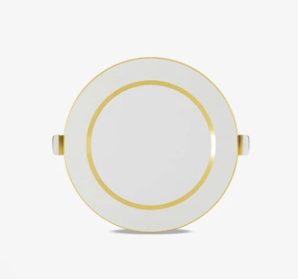 Đèn LED Downlight đổi màu AT58 110/10W (G) Rang Đông LED00085560