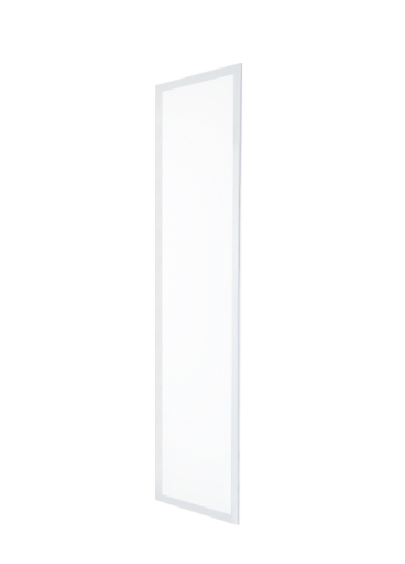 Đèn LED Panel P08 600×1200/100W 6500K (KPK) Rang Đông LED00070577
