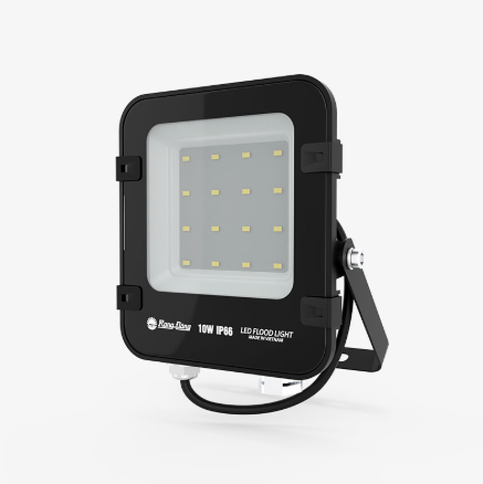 Đèn LED Chiếu pha CP12 20W 6500K Rang Đông LED00079605